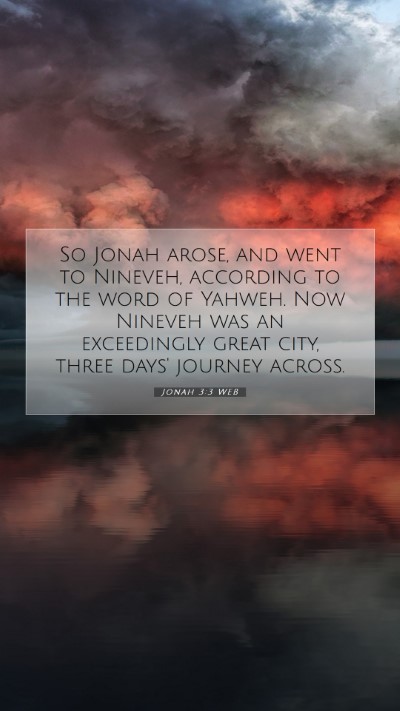 Picture 07 - Jonah 3:3 WEB Mobile Phone Wallpaper - So Jonah arose, and went to Nineveh, according to - Mobile Bible Verse Wallpaper