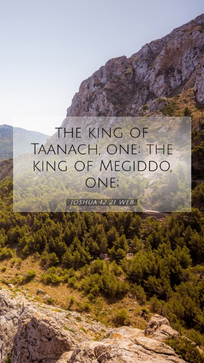 Picture 07 - Joshua 12:21 WEB Mobile Phone Wallpaper - the king of Taanach, one; the king of Megiddo, - Mobile Bible Verse Wallpaper