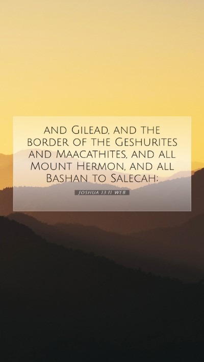 Picture 07 - Joshua 13:11 WEB Mobile Phone Wallpaper - and Gilead, and the border of the Geshurites and - Mobile Bible Verse Wallpaper
