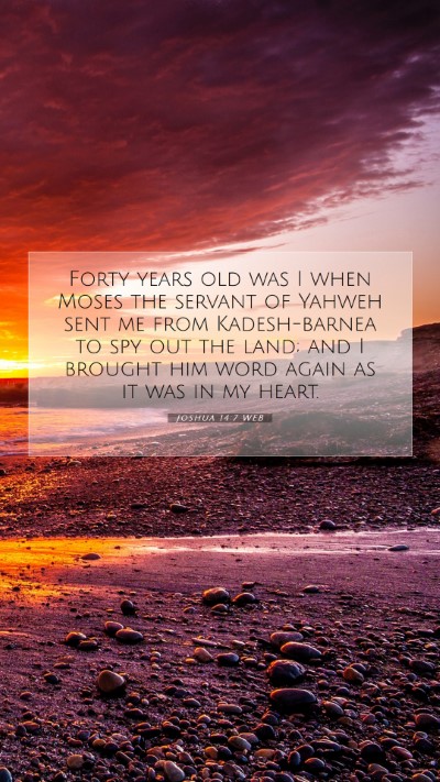 Picture 07 - Joshua 14:7 WEB Mobile Phone Wallpaper - Forty years old was I when Moses the servant of - Mobile Bible Verse Wallpaper