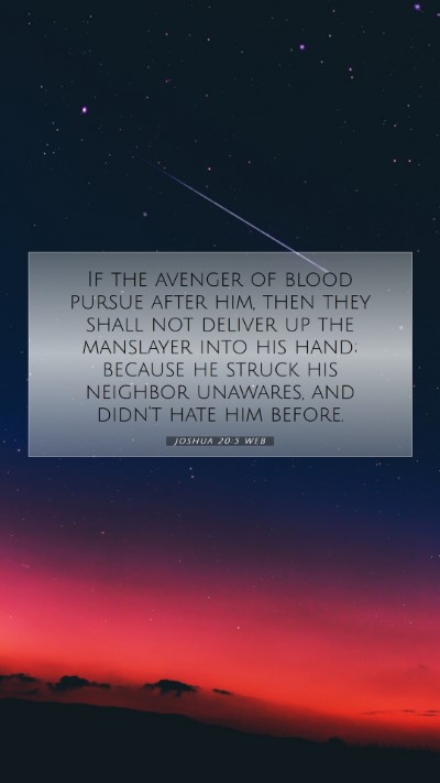 Picture 07 - Joshua 20:5 WEB Mobile Phone Wallpaper - If the avenger of blood pursue after him, then - Mobile Bible Verse Wallpaper