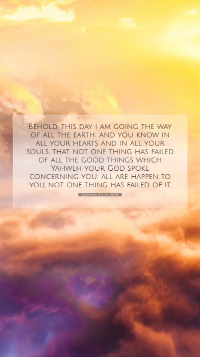Picture 07 - Joshua 23:14 WEB Mobile Phone Wallpaper - Behold, this day I am going the way of all the - Mobile Bible Verse Wallpaper