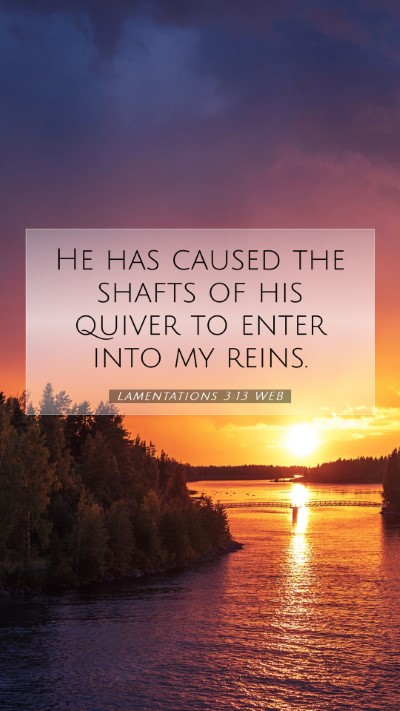 Picture 07 - Lamentations 3:13 WEB Mobile Phone Wallpaper - He has caused the shafts of his quiver to enter - Mobile Bible Verse Wallpaper