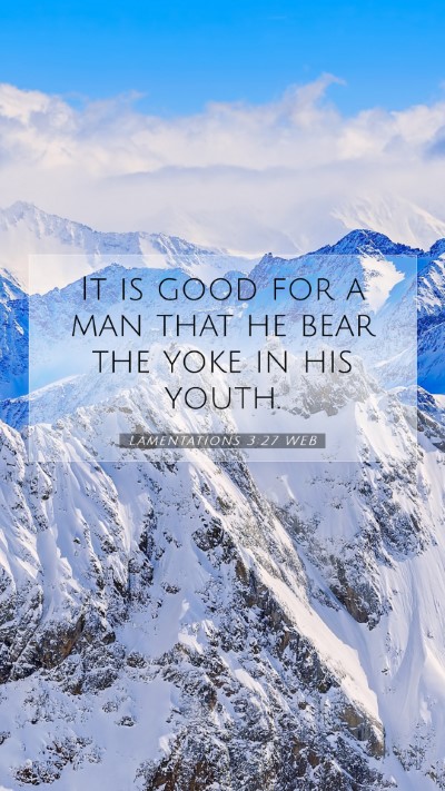 Picture 07 - Lamentations 3:27 WEB Mobile Phone Wallpaper - It is good for a man that he bear the yoke in his - Mobile Bible Verse Wallpaper