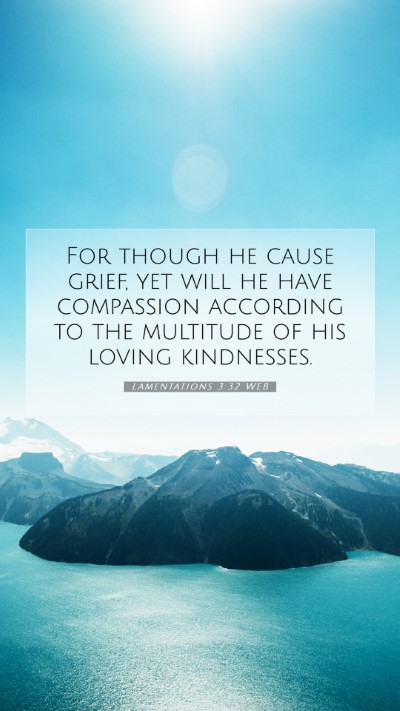 Picture 07 - Lamentations 3:32 WEB Mobile Phone Wallpaper - For though he cause grief, yet will he have - Mobile Bible Verse Wallpaper