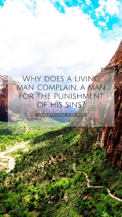 Picture 07 - Lamentations 3:39 WEB Mobile Phone Wallpaper - Why does a living man complain, a man for the - Mobile Bible Verse Wallpaper