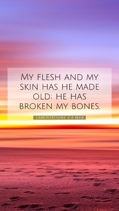 Picture 07 - Lamentations 3:4 WEB Mobile Phone Wallpaper - My flesh and my skin has he made old; he has - Mobile Bible Verse Wallpaper