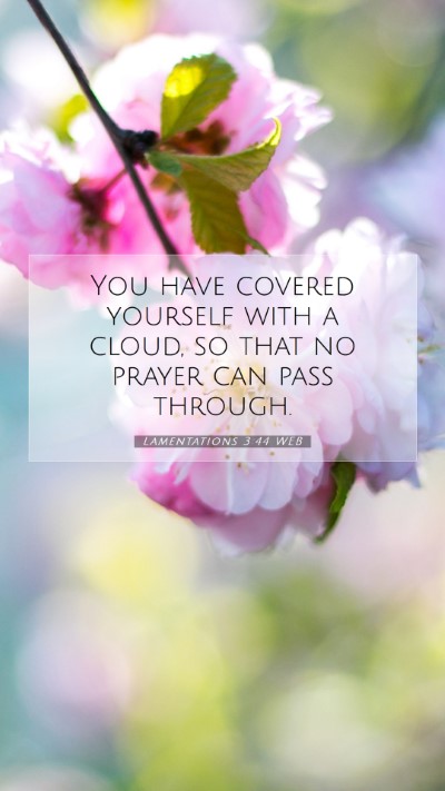 Picture 07 - Lamentations 3:44 WEB Mobile Phone Wallpaper - You have covered yourself with a cloud, so that - Mobile Bible Verse Wallpaper