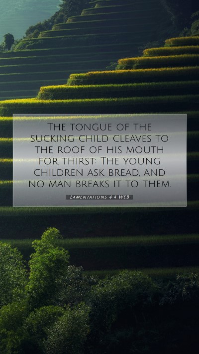 Picture 07 - Lamentations 4:4 WEB Mobile Phone Wallpaper - The tongue of the sucking child cleaves to the - Mobile Bible Verse Wallpaper