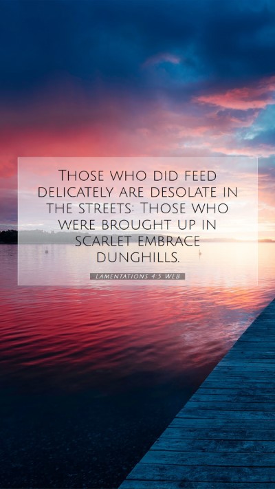 Picture 07 - Lamentations 4:5 WEB Mobile Phone Wallpaper - Those who did feed delicately are desolate in the - Mobile Bible Verse Wallpaper