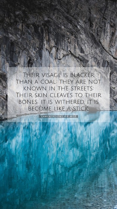 Picture 07 - Lamentations 4:8 WEB Mobile Phone Wallpaper - Their visage is blacker than a coal; they are not - Mobile Bible Verse Wallpaper