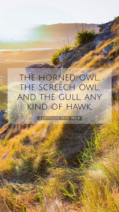 Picture 07 - Leviticus 11:16 WEB Mobile Phone Wallpaper - the horned owl, the screech owl, and the gull, - Mobile Bible Verse Wallpaper