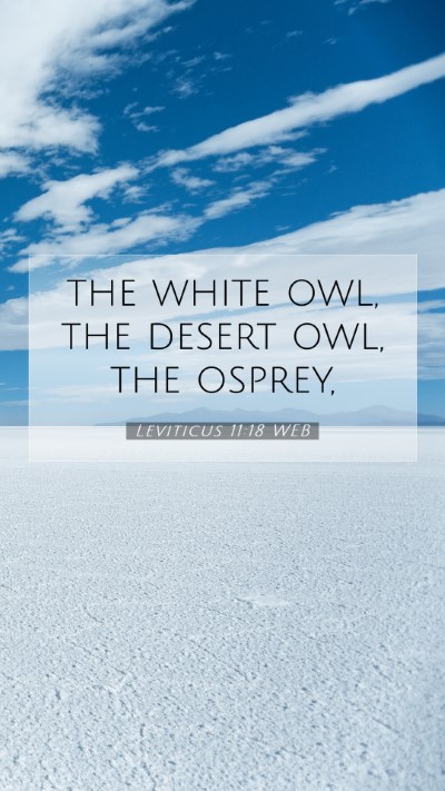 Picture 07 - Leviticus 11:18 WEB Mobile Phone Wallpaper - the white owl, the desert owl, the - Mobile Bible Verse Wallpaper