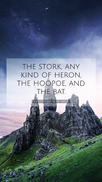 Picture 07 - Leviticus 11:19 WEB Mobile Phone Wallpaper - the stork, any kind of heron, the hoopoe, and the - Mobile Bible Verse Wallpaper
