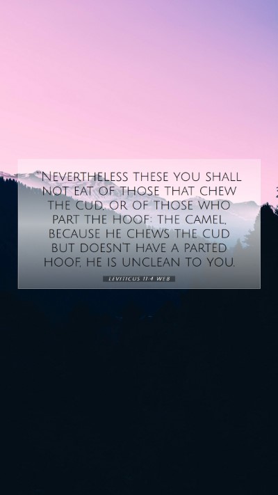 Picture 07 - Leviticus 11:4 WEB Mobile Phone Wallpaper - 