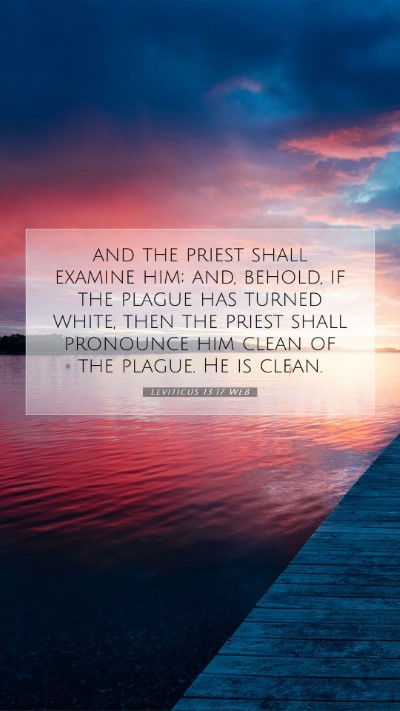 Picture 07 - Leviticus 13:17 WEB Mobile Phone Wallpaper - and the priest shall examine him; and, behold, if - Mobile Bible Verse Wallpaper