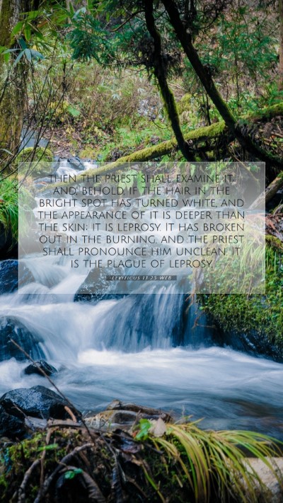 Picture 07 - Leviticus 13:25 WEB Mobile Phone Wallpaper - then the priest shall examine it; and, behold, if - Mobile Bible Verse Wallpaper