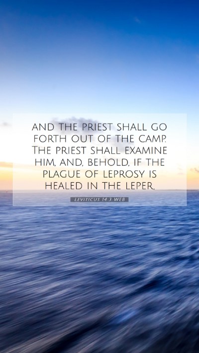 Picture 07 - Leviticus 14:3 WEB Mobile Phone Wallpaper - and the priest shall go forth out of the camp. - Mobile Bible Verse Wallpaper