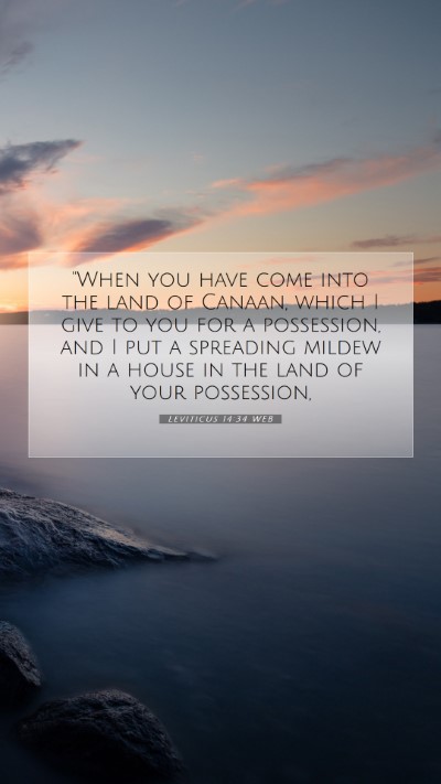 Picture 07 - Leviticus 14:34 WEB Mobile Phone Wallpaper - 