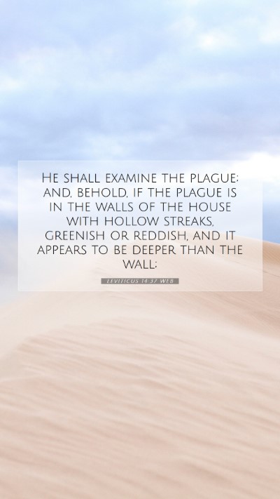 Picture 07 - Leviticus 14:37 WEB Mobile Phone Wallpaper - He shall examine the plague; and, behold, if the - Mobile Bible Verse Wallpaper