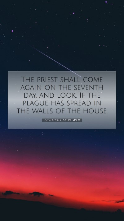 Picture 07 - Leviticus 14:39 WEB Mobile Phone Wallpaper - The priest shall come again on the seventh day, - Mobile Bible Verse Wallpaper