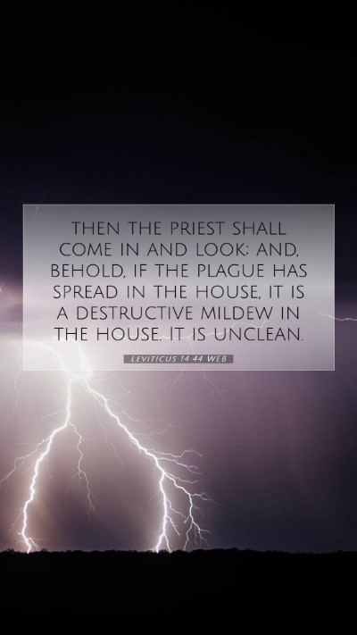 Picture 07 - Leviticus 14:44 WEB Mobile Phone Wallpaper - then the priest shall come in and look; and, - Mobile Bible Verse Wallpaper