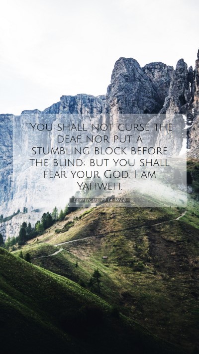 Picture 07 - Leviticus 19:14 WEB Mobile Phone Wallpaper - 