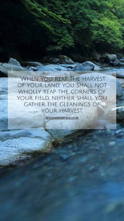 Picture 07 - Leviticus 19:9 WEB Mobile Phone Wallpaper - 