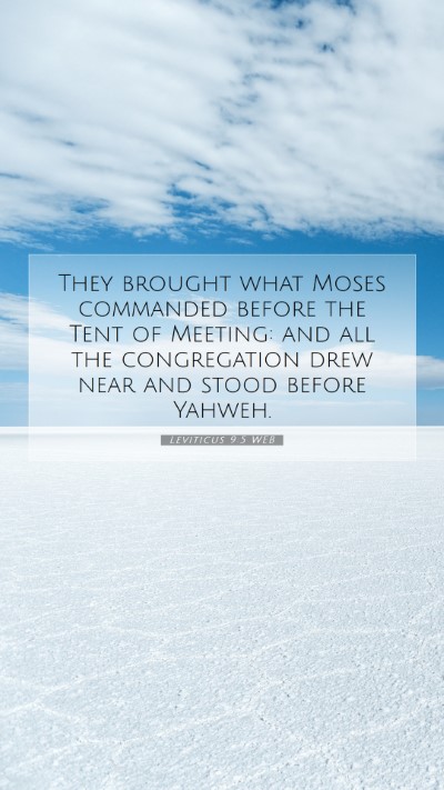 Picture 07 - Leviticus 9:5 WEB Mobile Phone Wallpaper - They brought what Moses commanded before the Tent - Mobile Bible Verse Wallpaper