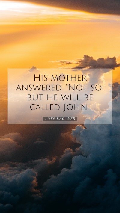 Picture 07 - Luke 1:60 WEB Mobile Phone Wallpaper - His mother answered, 