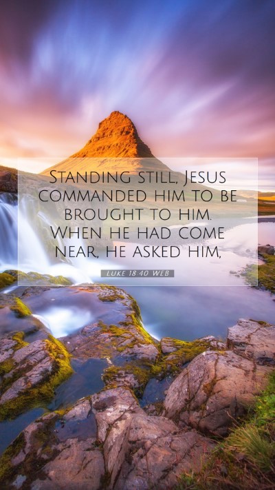 Picture 07 - Luke 18:40 WEB Mobile Phone Wallpaper - Standing still, Jesus commanded him to be brought - Mobile Bible Verse Wallpaper