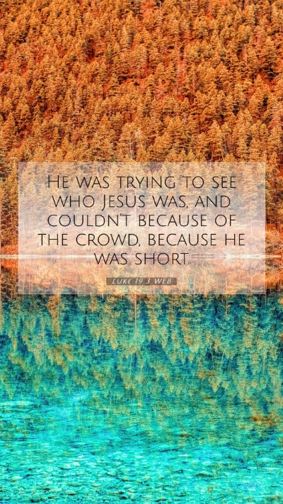 Picture 07 - Luke 19:3 WEB Mobile Phone Wallpaper - He was trying to see who Jesus was, and couldn't - Mobile Bible Verse Wallpaper
