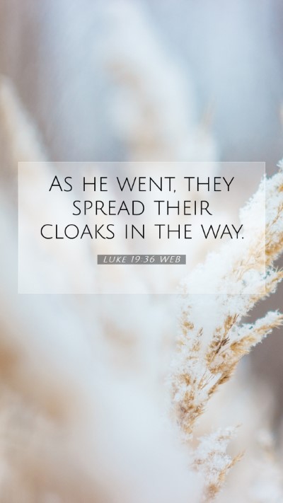 Picture 07 - Luke 19:36 WEB Mobile Phone Wallpaper - As he went, they spread their cloaks in the - Mobile Bible Verse Wallpaper