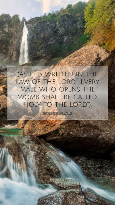 Picture 07 - Luke 2:23 WEB Mobile Phone Wallpaper - (as it is written in the law of the Lord, 
