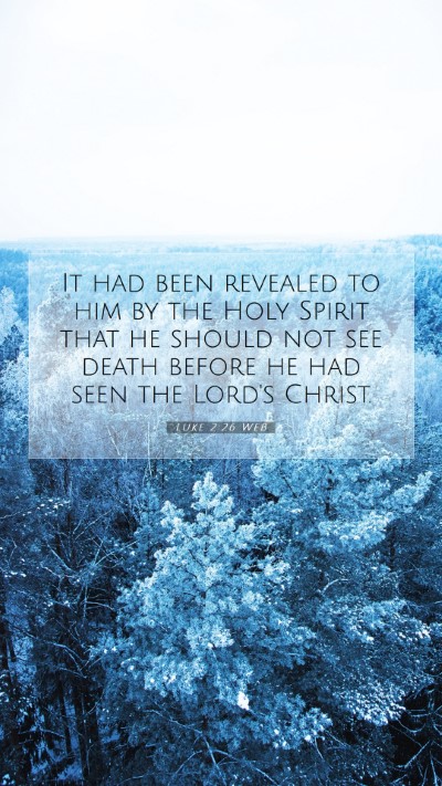 Picture 07 - Luke 2:26 WEB Mobile Phone Wallpaper - It had been revealed to him by the Holy Spirit - Mobile Bible Verse Wallpaper