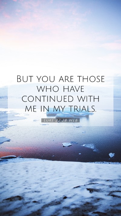 Picture 07 - Luke 22:28 WEB Mobile Phone Wallpaper - But you are those who have continued with me in - Mobile Bible Verse Wallpaper