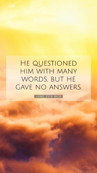 Picture 07 - Luke 23:9 WEB Mobile Phone Wallpaper - He questioned him with many words, but he gave no - Mobile Bible Verse Wallpaper