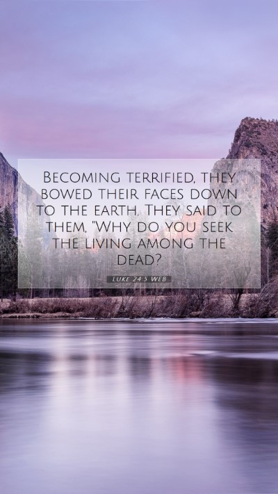 Picture 07 - Luke 24:5 WEB Mobile Phone Wallpaper - Becoming terrified, they bowed their faces down - Mobile Bible Verse Wallpaper
