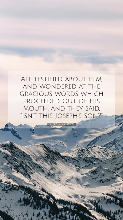 Picture 07 - Luke 4:22 WEB Mobile Phone Wallpaper - All testified about him, and wondered at the - Mobile Bible Verse Wallpaper
