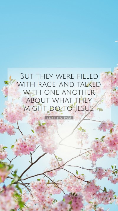 Picture 07 - Luke 6:11 WEB Mobile Phone Wallpaper - But they were filled with rage, and talked with - Mobile Bible Verse Wallpaper