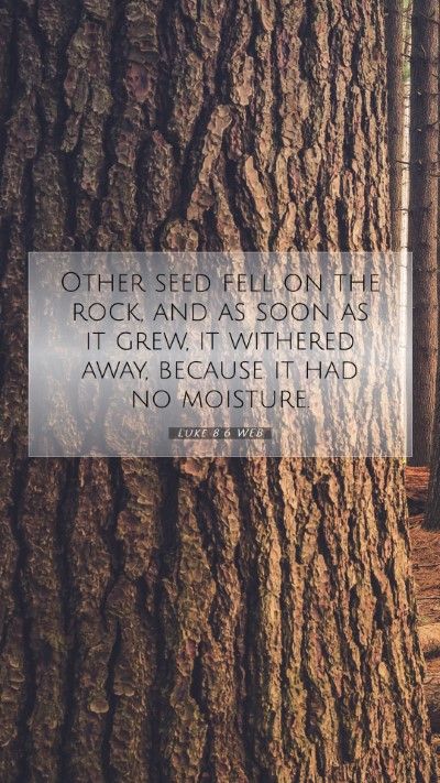 Picture 07 - Luke 8:6 WEB Mobile Phone Wallpaper - Other seed fell on the rock, and as soon as it - Mobile Bible Verse Wallpaper