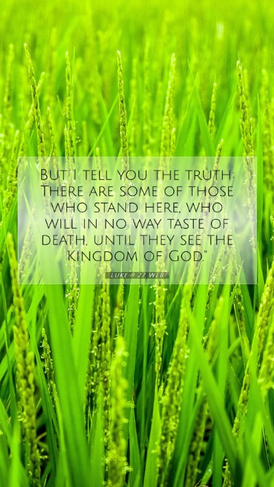 Picture 07 - Luke 9:27 WEB Mobile Phone Wallpaper - But I tell you the truth: There are some of those - Mobile Bible Verse Wallpaper