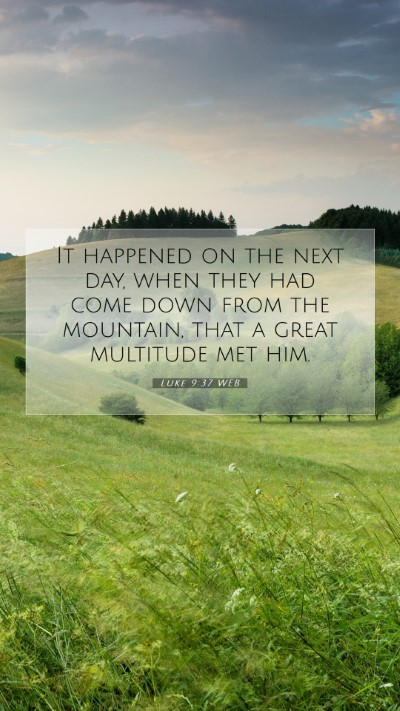 Picture 07 - Luke 9:37 WEB Mobile Phone Wallpaper - It happened on the next day, when they had come - Mobile Bible Verse Wallpaper