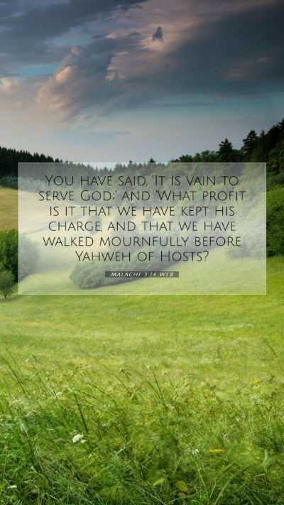 Picture 07 - Malachi 3:14 WEB Mobile Phone Wallpaper - You have said, 'It is vain to serve God;' and - Mobile Bible Verse Wallpaper