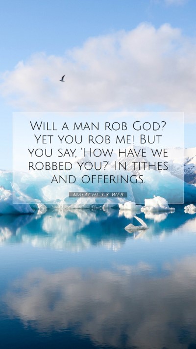 Picture 07 - Malachi 3:8 WEB Mobile Phone Wallpaper - Will a man rob God? Yet you rob me! But you say, - Mobile Bible Verse Wallpaper