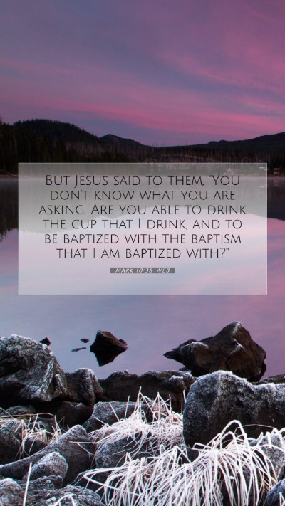Picture 07 - Mark 10:38 WEB Mobile Phone Wallpaper - But Jesus said to them, 