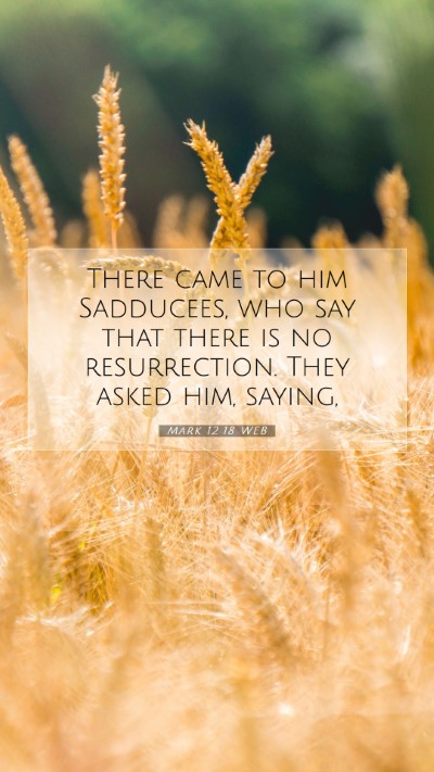 Picture 07 - Mark 12:18 WEB Mobile Phone Wallpaper - There came to him Sadducees, who say that there - Mobile Bible Verse Wallpaper