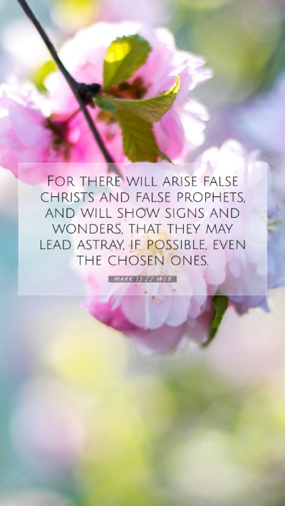 Picture 07 - Mark 13:22 WEB Mobile Phone Wallpaper - For there will arise false christs and false - Mobile Bible Verse Wallpaper