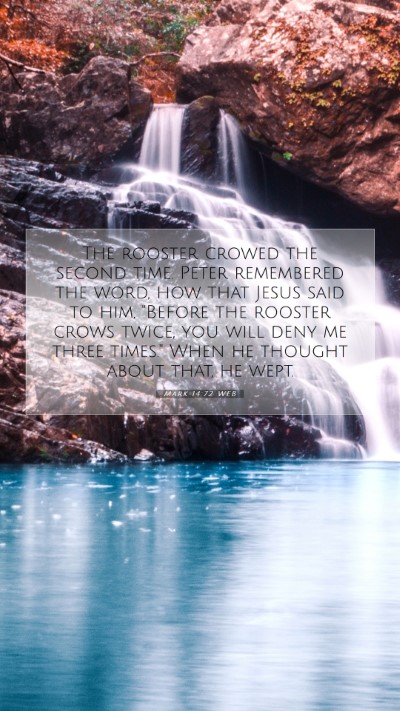 Picture 07 - Mark 14:72 WEB Mobile Phone Wallpaper - The rooster crowed the second time. Peter - Mobile Bible Verse Wallpaper
