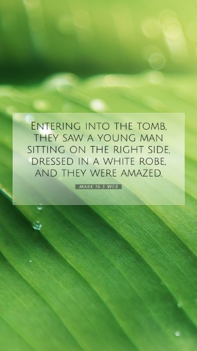 Picture 07 - Mark 16:5 WEB Mobile Phone Wallpaper - Entering into the tomb, they saw a young man - Mobile Bible Verse Wallpaper